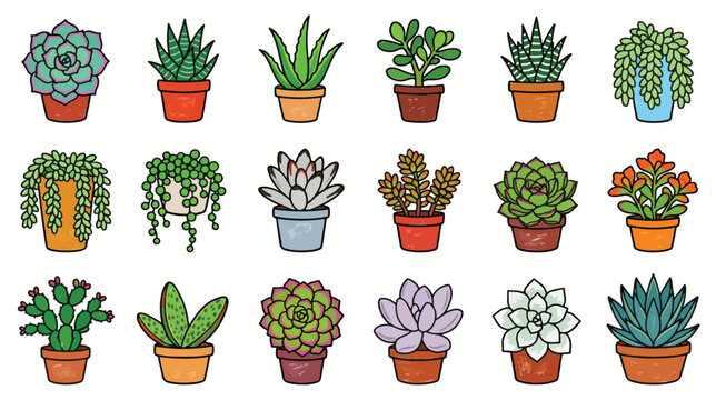 Crayon Style Succulent Collection Icon Set Illustration