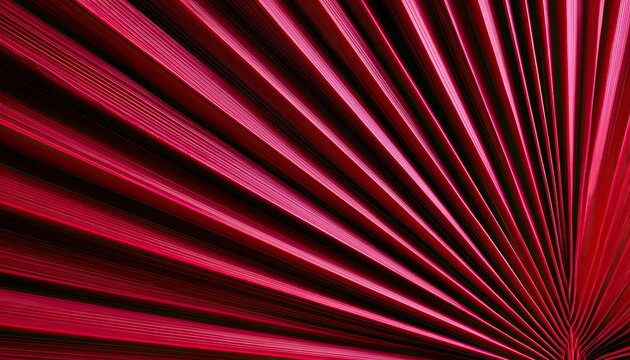 Vibrant pink fan-shaped leaf pattern, abstract, radial lines