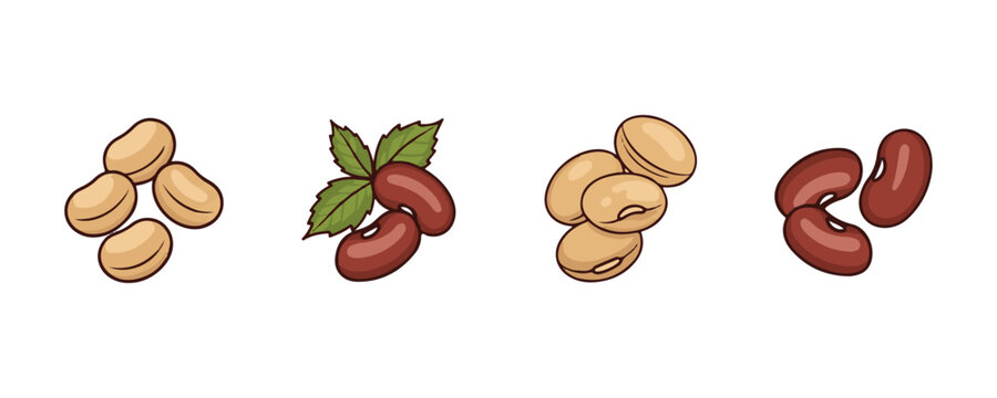 Bean and seed icon set featuring red beans, soybeans, green peas, lentils, corn seeds, and chickpeas in a modern flat vector style.