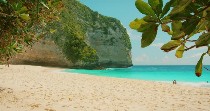 Tropical green trees frame a beautiful coastal view of sandy beach in Nusa Penida Bali