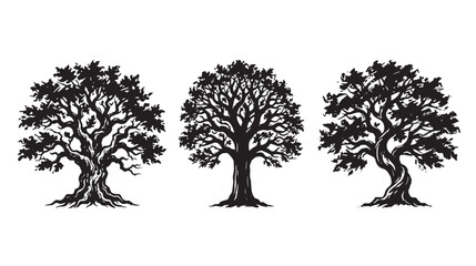Fototapeta premium Set of three detailed graffiti black and white tree silhouettes featuring intricate branches and textured trunks, isolated on a clean white background, for use