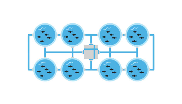 Aquaculture fish farming system consisting of multiple circular water tanks connected by pipes for sustainable fish production and farming.
