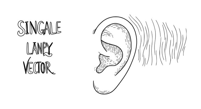 Hand-drawn vector illustration of a human ear with text "Singale Lanpy Vector"