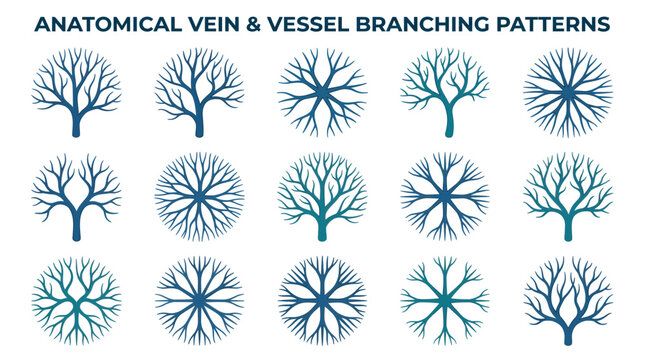 Collection of various blue anatomical vein and vessel branching pattern icons isolated on white background, illustrating medical textbook diagrams and provides scientific education materials
