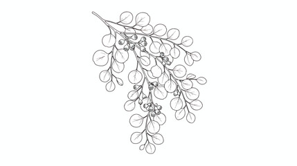 Vintage eucalyptus branch line art, botanical leaf sketch vector illustration, elegant hand drawn floral foliage for wedding invitations and branding © Tayba