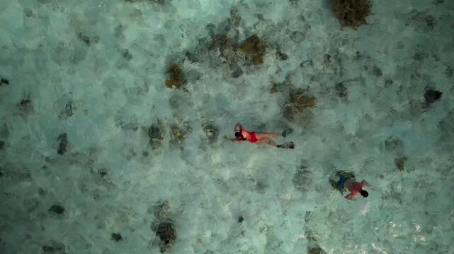 Birds eye view of a swimmer exploring coral reefs and white sand sea bottom in Los Roques Venezuela