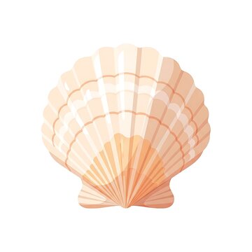 Delicate Seashell Illustration for Coastal Designs