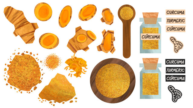 Turmeric Isolated Illustration Set Fresh Root, Powder & Slices	
