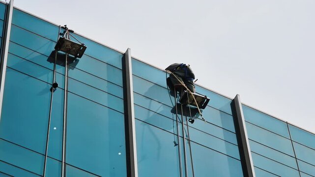 Window cleaners in safety harnesses rappelling down the blue glass exterior of a modern high-rise building in an urban setting.
