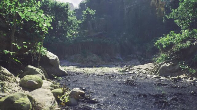 shallow crossing point framed by trees and scattered rocks, gentle current and open sunlit patch suggesting outdoor challenge and exploration for hikers