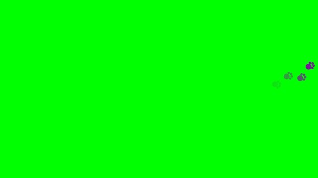 Purple animal paw prints walking across screen on green screen