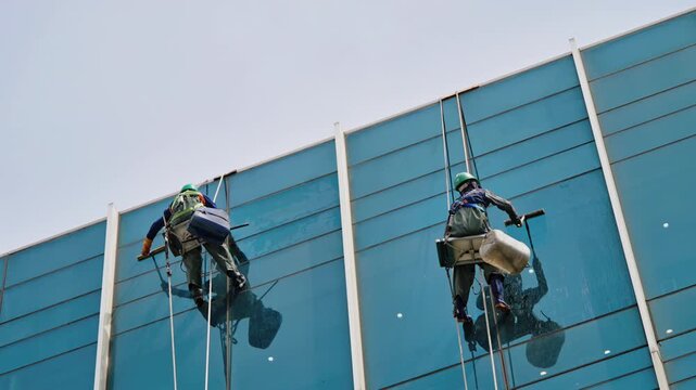 A close-up of two window cleaners in safety helmets and harnesses cleaning the blue glass surface of a high-rise building.