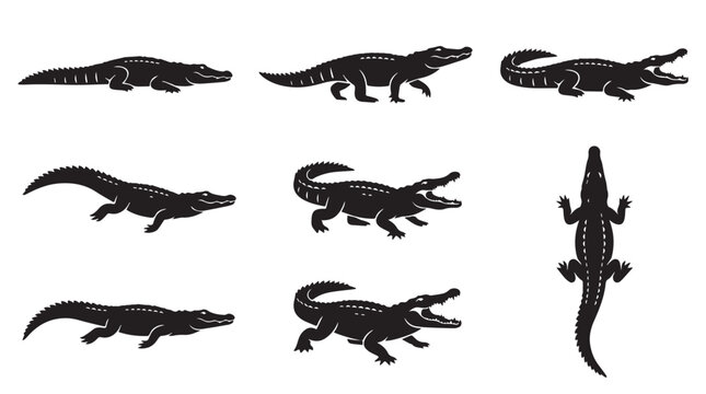 Crocodile and Alligator Silhouette Collection with Various Reptile Poses on White Background