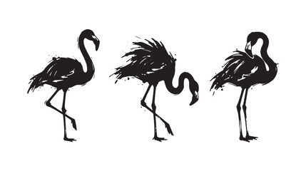Obraz premium Three graffiti black ink silhouette of flamingos standing in different poses on a white background, featuring expressive brush strokes and paint splatters