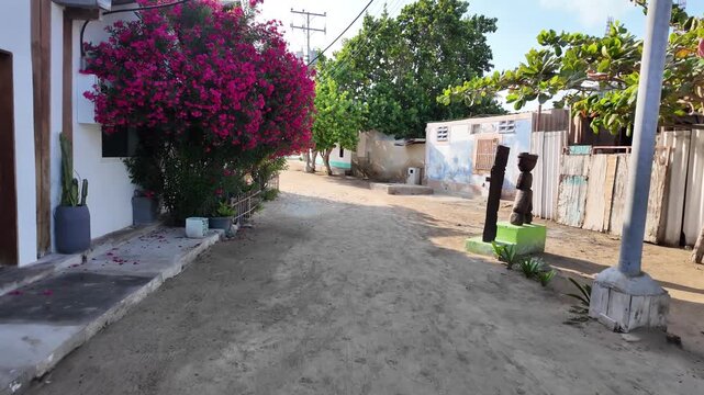 Experience a tranquil walk along a sandy seaside lane filled with vibrant flowers, perfect for capturing the essence of an authentic tropical getaway in Los Roques Venezuela