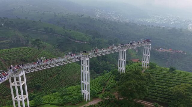 Drone shot of elevated skywalk bridge above green tea fields in Kemuning, Indonesia. Tourism, adventure, and highland landscape footage.