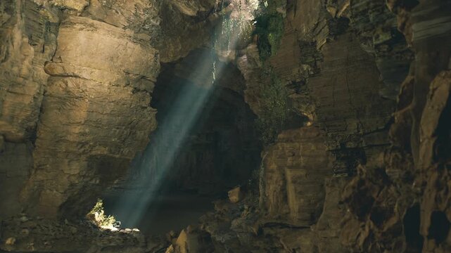 Sunbeamlit oasis mammoth cave system with cluster of green plants at sinkhole base, damp rocky floor and luminous dust creating intimate microclimate vignette.