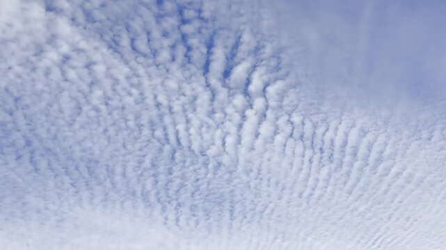 mackerel sky, altocumulus clouds, ripple clouds, textured sky, cloud pattern, wave clouds, dramatic cloudscape, blue gray sky, cloudy sky background, unique clouds, cotton clouds, scattered clouds, 