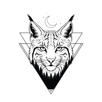 Lynx Feline Animal Illustration Portrait.