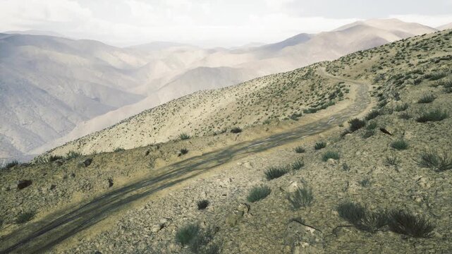 Sparse shrubland on highland slope with winding track, tajikistan, fieldready composition for ecologist survey and habitat documentation with clear vegetation