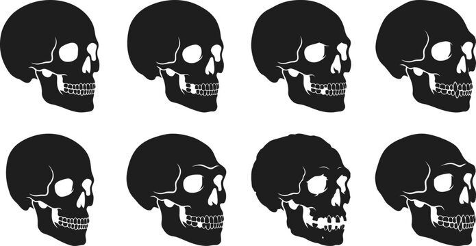 Human Skull Side View Silhouette Vector Bundle For Halloween Gothic Anatomy SVG PNG EPS DXF Clipart Cut File