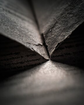 Opened antique book pages texture