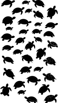 A group of turtle silhouettes arranged vertically on a white background (1)
