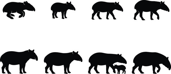 Naklejka premium Tapir Silhouette Pose Collection Vector Set with Walking, Standing, Running and Mother with Calf Wildlife Icons