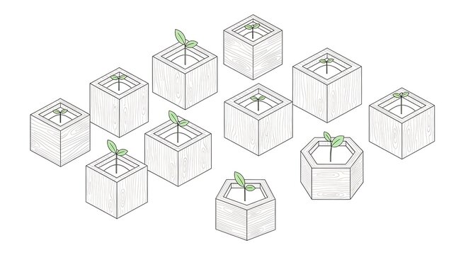 Isometric line art illustration of geometric planters with small green sprouts on white background.