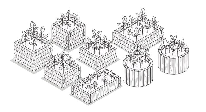 Isometric line art of wooden raised garden beds with plants.