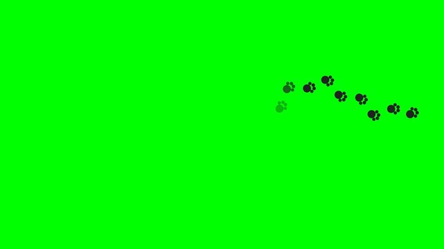 Animal paw prints walking animation on a green screen