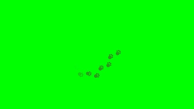 Dog paw prints walking animation on green screen
