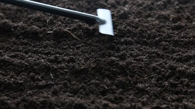 A small rake moves horizontally across dark prepared soil from left to right when viewed in close-up, passing across the surface and then exiting the frame, leaving bare, smooth soil.