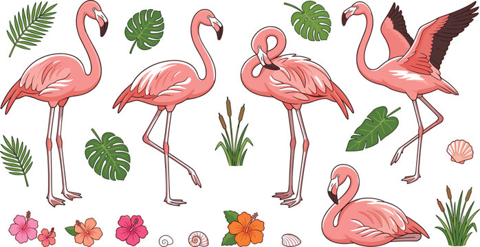 Tropical pink flamingo vector cartoon illustration set with monster leaves hibiscus flowers and seashells for summer party branding or pattern design