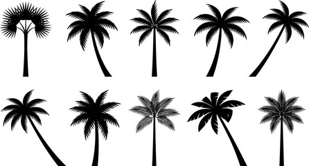 Fototapeta premium Set of black silhouette palm trees isolated on white background for tropical summer vacation designs