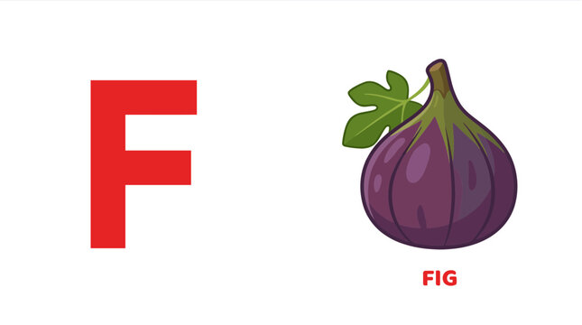 Letter F with Fig for Alphabet Learning