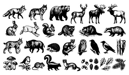 Obraz premium Premium Forest Wildlife Clipart Collection in Dark Vintage Monochrome Vector Style