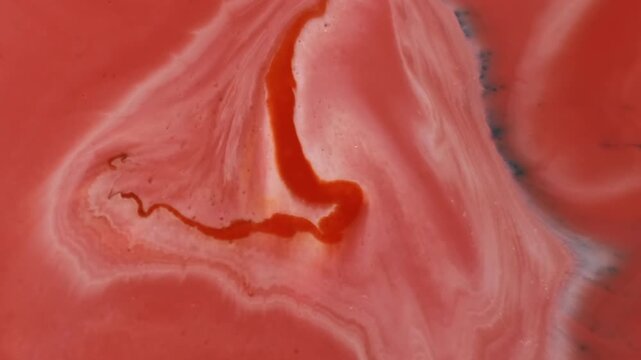 Dye spreading. Ink splash. Red pigment spatter on white art liquid. Spill dissolve bright color opener effect abstract background.