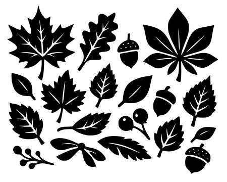 Black silhouettes of assorted leaves, acorns, berries, and seeds, symbolizing botanical diversity and nature&rsquo;s forms in bold vector art.
