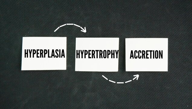 In biology, growth relies on three fundamental cellular processes are hyperplasia, hypertrophy and accretion word. the three basic ways living things grow and get bigger. 