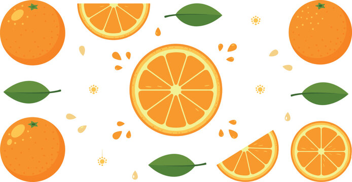 Orange fruit vector set featuring whole oranges, fresh slices, half cuts, green leaves, falling seeds, and juicy drops isolated on a white background.