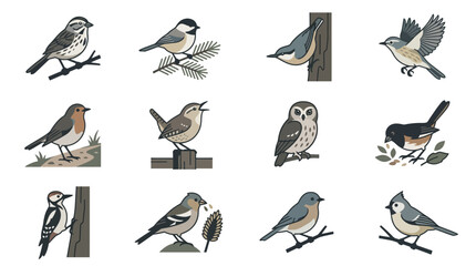 Realistic bird species illustrations in forest settings. © ragil
