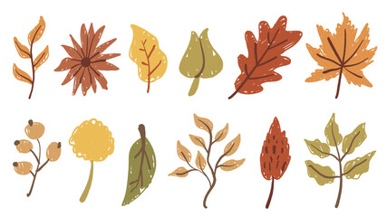 Flat cartoon seasonal fall plant collection, featuring hand-drawn foliage, maple leaf, oak, and berry asset with crayon texture. for Thanksgiving card design and pattern. © NUR