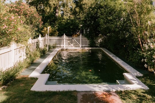 Rectangular swimming pool with deep moss green water and white coping in a lush backyard garden for real estate and home landscaping design