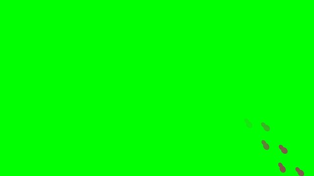 Footprints walking animation showing human steps on a green screen path