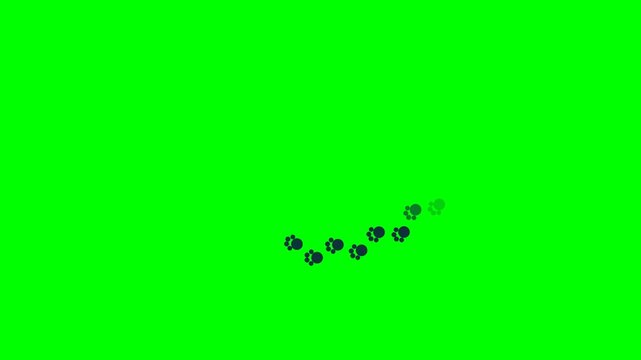 Paw prints walking animation on green screen