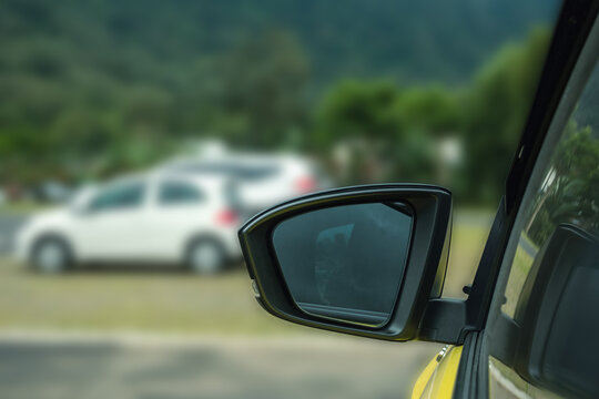 Side mirror displays blurred cars and green landscape