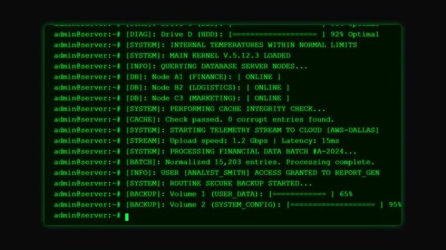 Server Terminal Disk Diagnostics Database Processing Background Animation.