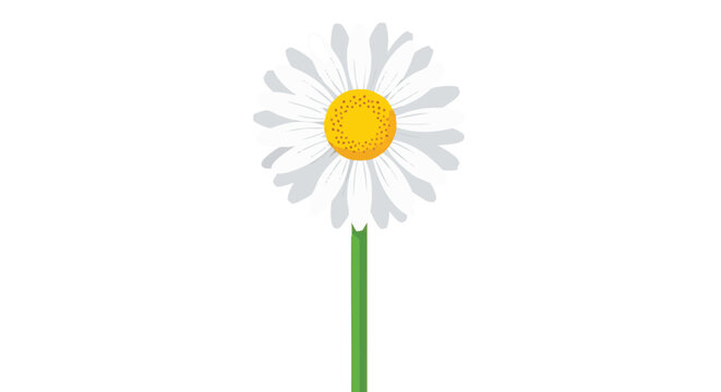 Simple Daisy Flower Illustration with White Petals and Yellow Center on a Green Stem.