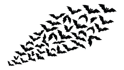 Bats flying in a unified diagonal formation create a striking visual pattern against a stark white background. © Sadee Girl